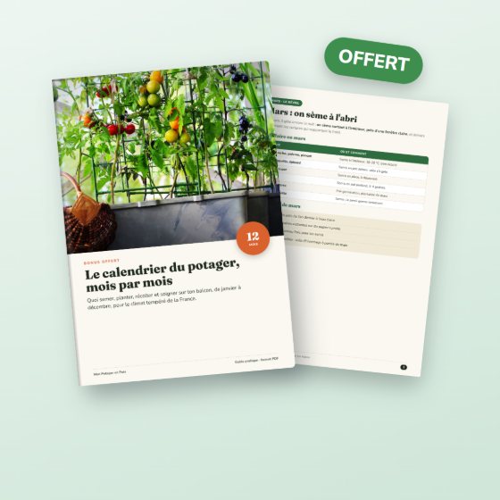 Bonus 1 : Le calendrier du potager, mois par mois