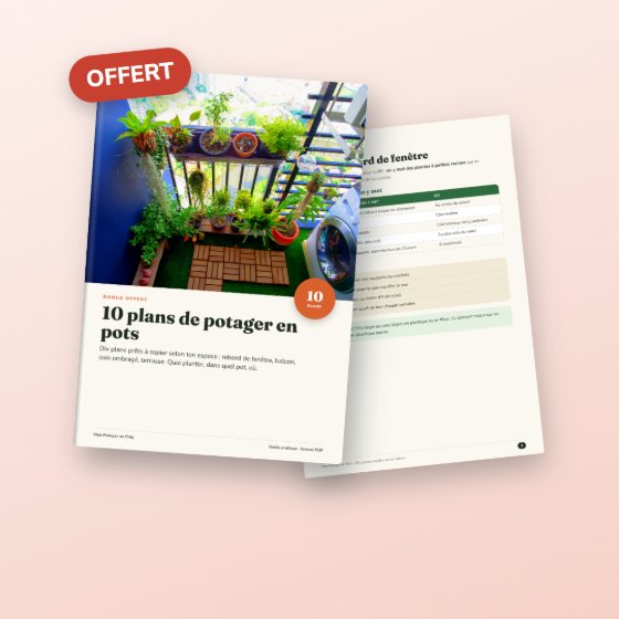 Bonus 2 : 10 plans de potager en pots